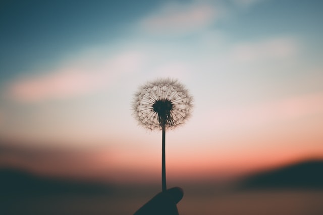 Wat is het belang van mindfulness?